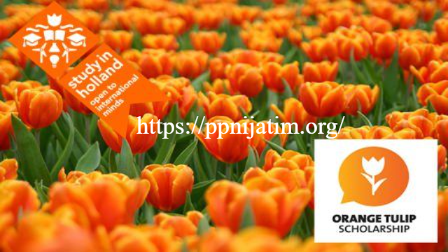 Informasi Orange Tulip Scholarship: Peluang Studi di Belanda